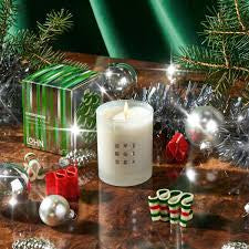 Evergreen candle by LOHN