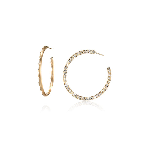 WILD COAST ETERNITY HOOPS