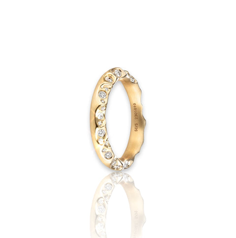 WILD COAST ETERNITY RING