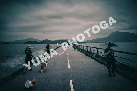 YUMA PHOTOGA 40